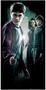 Harry Potter Harry Door Cover