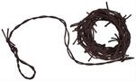 Rusty Barbed Wire Garland