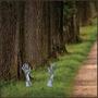 Plastic Zombie Hand Yard Stakes