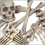 Bag 'O Bones