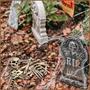 Bag 'O Bones