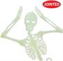 Plastic Nite-Glo Skeleton