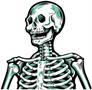 Jointed Skeletons