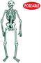 Jointed Skeleton