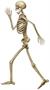 Profile Pete Jointed Skeleton