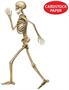 Profile Pete Jointed Skeleton