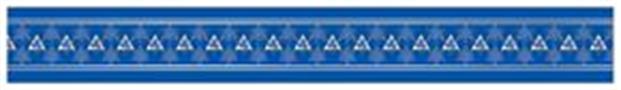 Metallic Star of David Banner