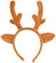 Reindeer Antlers