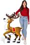 Reindeer Stand-Up