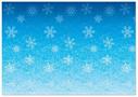 Snowflakes Backdrop