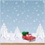 Snow Blanket