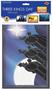 Foil Three Kings Day Cutouts