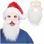 Santa Mask
