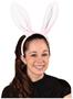 Soft-Touch Bunny Ears