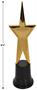 Awards Night Star Statuette