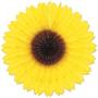 Sunflower Fan