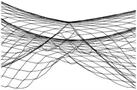 Fish Netting