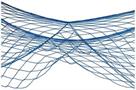 Fish Netting