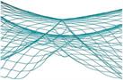 Fish Netting