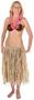 Adult Raffia Hula Skirt