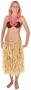 Adult Raffia Hula Skirt