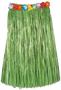Adult Artificial Grass Hula Skirt
