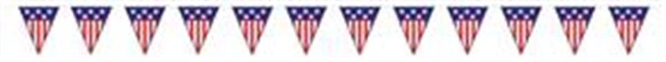 Spirit Of America Pennant Banner