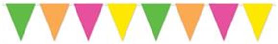 Neon Pennant Banner