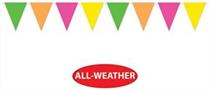 Neon Pennant Banner