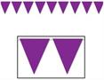 Purple Pennant Banner