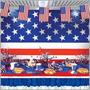 American Flag Pennant Banner