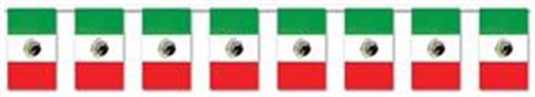 Mexican Flag Pennant Banner