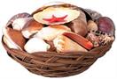 Shell Basket