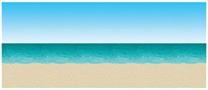 Ocean & Beach Backdrop