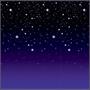Starry Night Backdrop