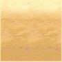 Desert Sand Backdrop