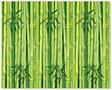 Bamboo Backdrop