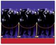 Paparazzi Backdrop