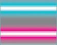 Neon Border