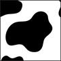 Cow Print Backdrop