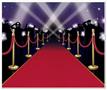 Red Carpet Insta-Mural Photo Op