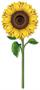Sunflower Cutout