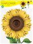 Sunflower Cutout