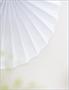 Accordion Paper Fans