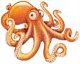 Jointed Octopus