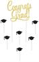 Congrats Grad! Cake Topper