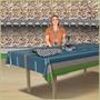Road Tablecover