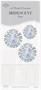 Iridescent Fans