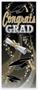 Congrats Grad Door Cover