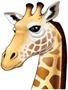 Jointed Giraffe